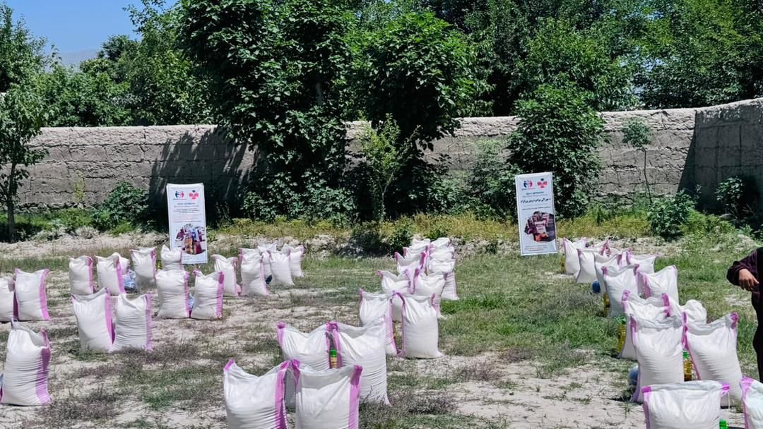 Food packages laid out for distribution